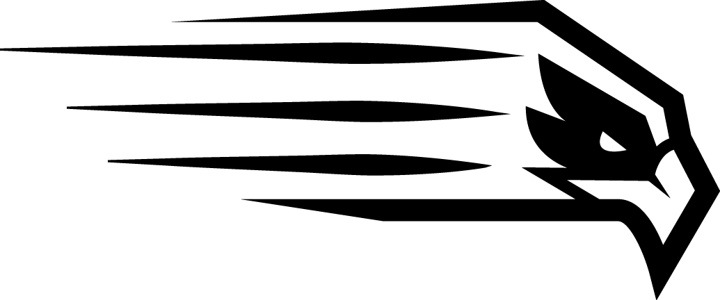 Hartford Hawks 2015-Pres Alternate Logo v6 diy iron on heat transfer